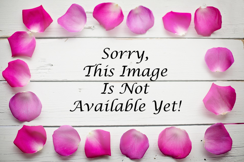 Image Not Available